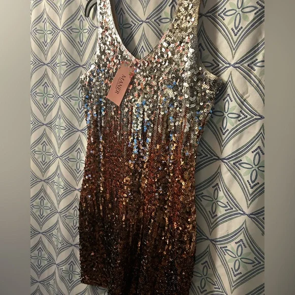 NWT Sequin Ombre Sleeveless Dress w/Perfectly in Tact Embellishments and Lined - Picture 7 of 16